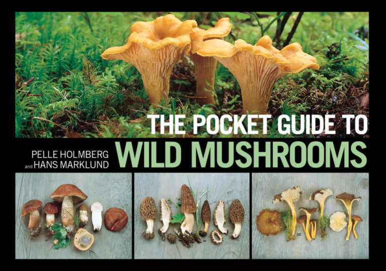 Pocket Guide for Wild Mushrooms Mojo Mushroom